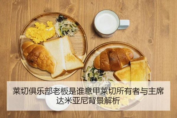 莱切俱乐部老板是谁意甲莱切所有者与主席达米亚尼背景解析