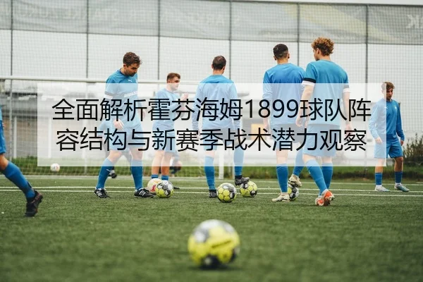全面解析霍芬海姆1899球队阵容结构与新赛季战术潜力观察